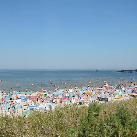 Mobile In Rogowo Near Baltic