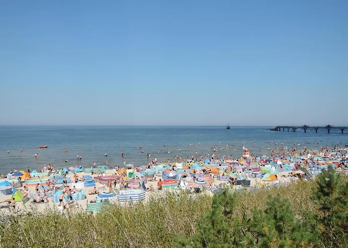 Mobile In Rogowo Near Baltic